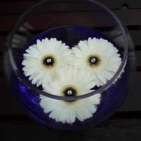 fwthumb10 fishbowl of gerbera 29.95.jpg